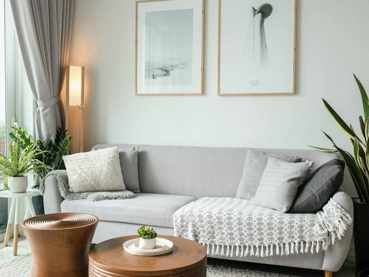 Bright, tidy living room with a sofa and plants